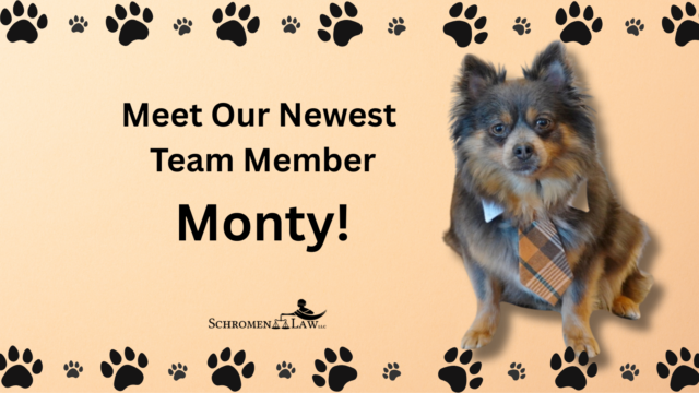 Meet Our Newest Team Member: Monty! Meet Our Newest Team Member: Monty!